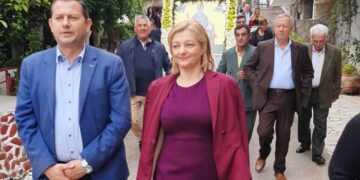 Στην Ώλενα