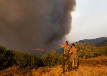 Φωτιά στην Αλεξανδρούπολη: Δεν σταματούν οι αναζωπυρώσεις – Επιχειρούν δυνάμεις από Βουλγαρία, Τσεχία, Αλβανία, Ρουμανία