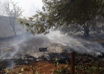 Προφυλακιστέος ο 45χρονος για τον εμπρησμό στον Αυλώνα – Με κατηγορία κακουργήματος