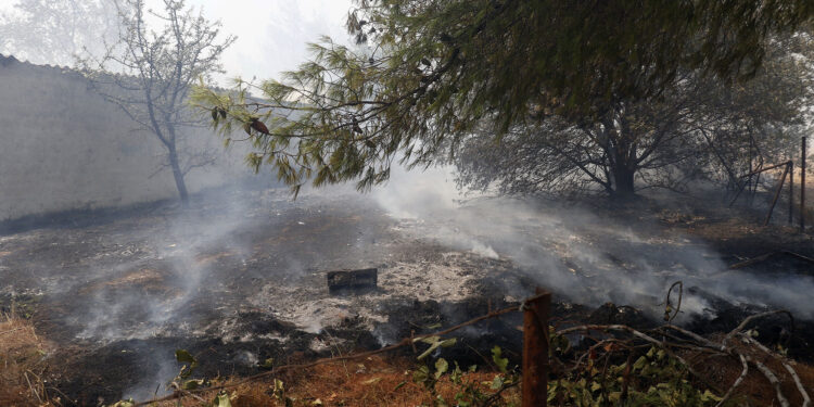 Προφυλακιστέος ο 45χρονος για τον εμπρησμό στον Αυλώνα – Με κατηγορία κακουργήματος