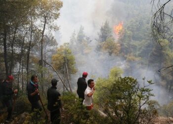 Χαλκιδική: Δωδεκάωρη απαγόρευση κυκλοφορίας αύριο σε δάση του νομού-Εντολή για εκκένωση του οικισμού του Αγίου Κοσμά στην Καβάλα