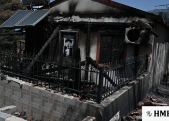 Πυρόπληκτοι: Μέχρι πότε μπορούν να υποβάλουν αίτηση αρωγής