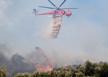 Copernicus για Αλεξανδρούπολη: «Η μεγαλύτερη καμένη έκταση σε ευρωπαϊκό έδαφος εδώ και χρόνια»