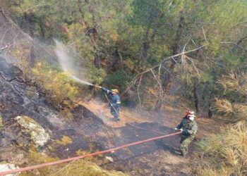 Στο μέτωπο της Δαδιάς εστιάζουν στον Έβρο οι δυνάμεις πυρόσβεσης