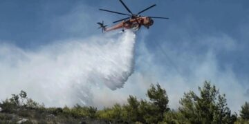 Φωτιά τώρα στην Αλεξανδρούπολη – Κάει σε καλλιέργιες και δέντρα