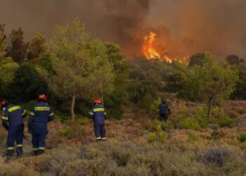 Φωτιά στην Εύβοια: Προσήχθη 17χρονος και η μητέρα του για εμπρησμό στα Ψαχνά