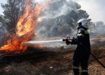 Σάββατο 19 Αυγούστου: Πολύ υψηλός κίνδυνος πυρκαγιάς σε Έβρο και Σαμοθράκη