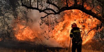 Φωτιά στον Προφήτη Ηλία Ευβοίας – Επιχειρούν επίγειες και εναέριες δυνάμεις