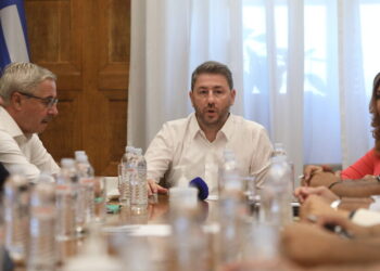 Ανδρουλάκης: Η κυβέρνηση απέτυχε παταγωδώς να προστατεύσει το δάσος της Δαδιάς