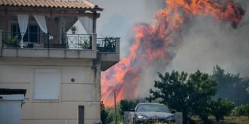 Μάχη για 5η ημέρα με τις φλόγες στην Αλεξανδρούπολη – Ανησυχία για το μέτωπο της φωτιάς στη Δαδιά