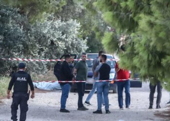 Με ποια άτομα είχαν σχέση στην Ελλάδα οι εκτελεστές της Αρτέμιδας  