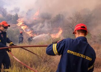 Πυροσβέστες στο πύρινο μέτωπο της Δαδιάς διέσωσαν 25 μετανάστες