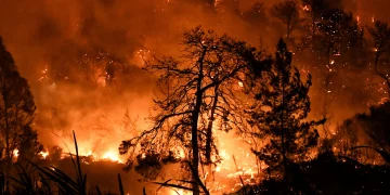 Στη Βουλή στοιχεία για τα αίτια των φετινών πυρκαγιών: Εκδηλώθηκαν 6.200, 10 αποδίδονται σε εμπρησμό