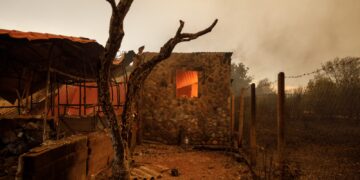 Οι άγνωστοι ήρωες της φωτιάς στον Εβρο – Πώς σώθηκαν 100.000 στρέμματα