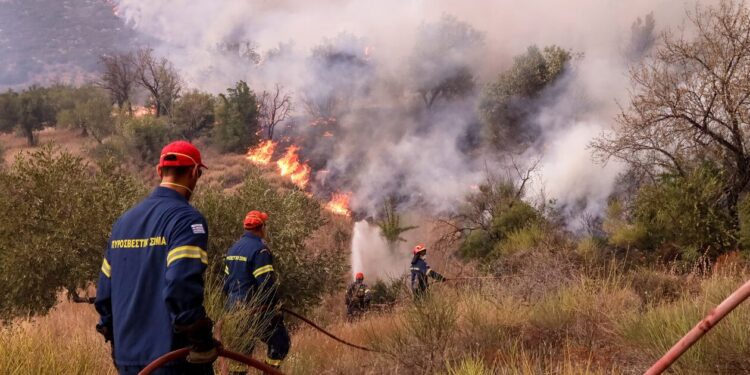 Φωτιά στη Σταμάτα: Μια προσαγωγή υπόπτου για εμπρησμό