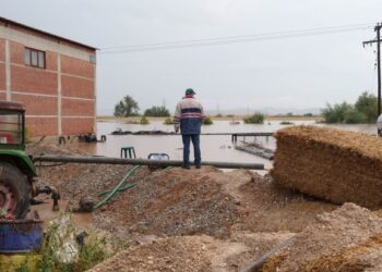 Πλημμύρες: Μέχρι πότε υποβάλλονται οι δηλώσεις ΟΣΔΕ 2023
