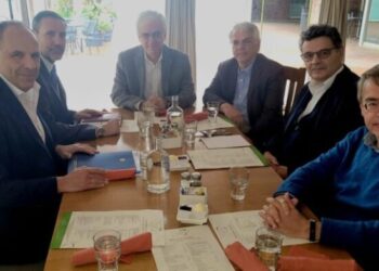 Γ. Γεραπετρίτης: Αξιοποίηση της ελληνικής Διασποράς μέσω της επιστημονικής διπλωματίας
