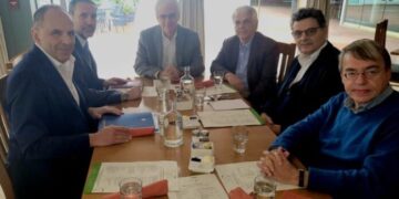 Γ. Γεραπετρίτης: Αξιοποίηση της ελληνικής Διασποράς μέσω της επιστημονικής διπλωματίας