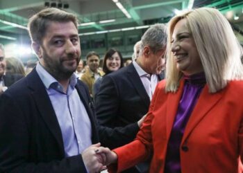Ν. Ανδρουλάκης: Πολύτιμη παρακαταθήκη το όραμα της Φ. Γεννηματά για το ΕΣΥ