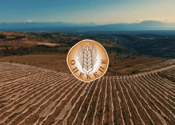 ΟΠΕΚΕΠΕ: Ένοχοι 13 κατηγορούμενοι για παράνομες επιδοτήσεις στις Σέρρες – Η ποινή που τους επιβλήθηκε