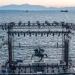 U2, Ρέμος και το «σύνδρομο του μπαλκονιού»