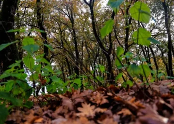 Αλλάζει ο καιρός από την Κυριακή: Έρχονται βροχές, καταιγίδες και πτώση της θερμοκρασίας