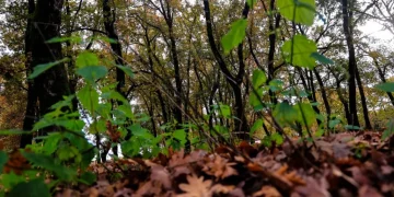 Αλλάζει ο καιρός από την Κυριακή: Έρχονται βροχές, καταιγίδες και πτώση της θερμοκρασίας